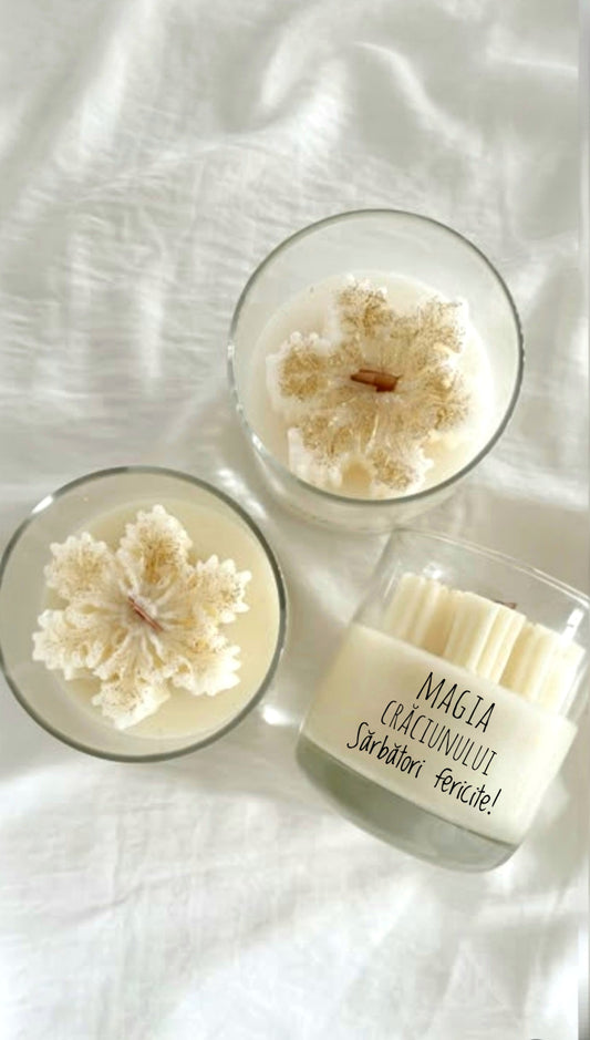 Magia din Sticla – Fulg de nea